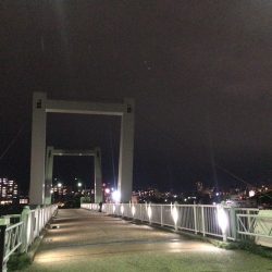 西宮跳ね橋　一投目から６５ｃｍ